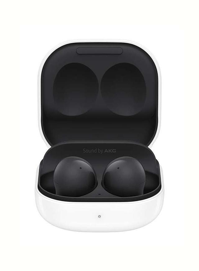 Galaxy Buds 2 Graphite